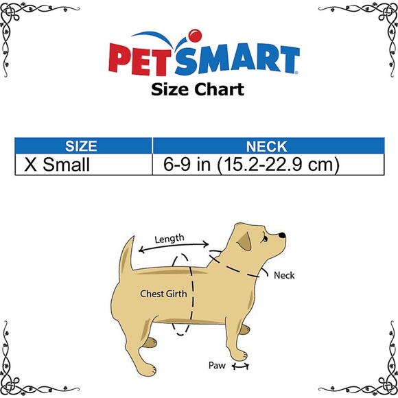 Whisker City Breakaway Kitten Collar Confetti Turquoise Pastel Cat Petsmart - Picture 8 of 8